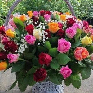 Meet your Posher, Adriana